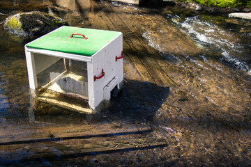 View of Millard-Piercy Watershed Stewards Counting weir which is used for counting seaward migrating smolts on Piercy Creek5