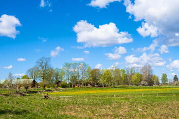 Farm in a rural landscape view with a meadow