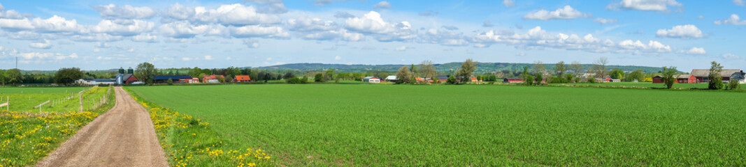 Obraz premium Panoramic view at a cultivated land with a dirt road in the country