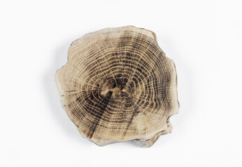 Wooden saw cut. Tree trunk rings. On white background.
