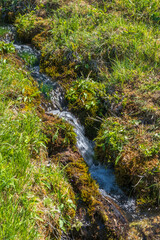 Fototapeta premium Creek with flowing water on a hillside on a meadow