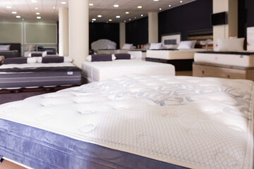 Furniture showroom interior - new fashionable modern beautiful mattresses and beds