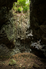 沖縄　美ら島　宮古諸島　伊良部島のパワースポット　洞窟　ヌドクビアブ　岩に食い込む木の根