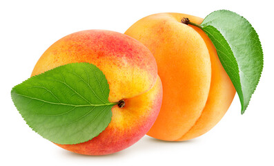 Apricot isolated on white background. Peach Clipping path. Fresh organic apricot.