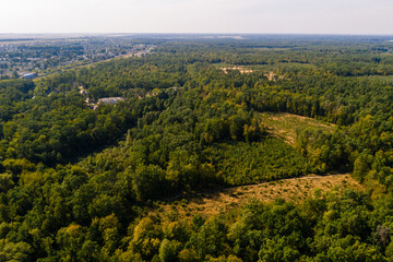 Fototapeta na wymiar Top view of the Ukrainian forests in the Rivne region, flying over the tunnel of love.