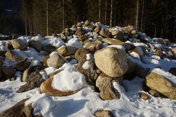 stone snow forest