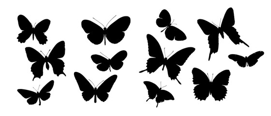 Fototapeta na wymiar Butterfly silhouette. Black wings. Fly, isolated vector. Butterflies flat color collection. Butterfly swarm.
