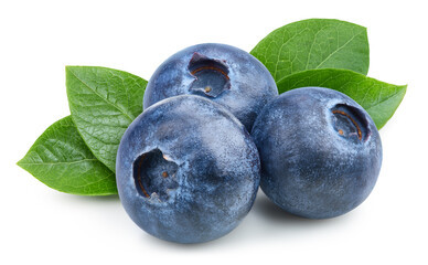 Blueberry clipping path. Blueberry berry with blueberry leaf isolated on white background.