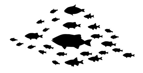 Silhouettes of groups of  fishes on white
