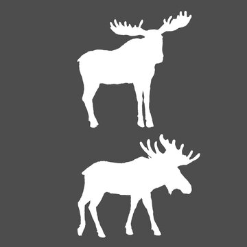 Moose Silhouette. Vector Set of Elk Shades