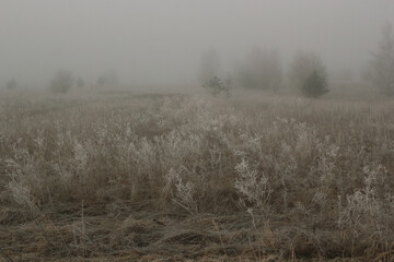A field wrapped in fog, in an early frosty morning.