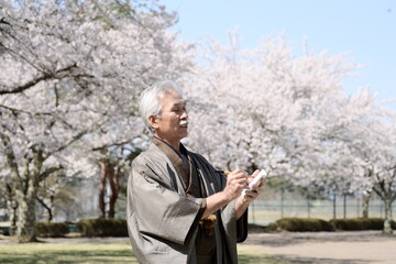 俳句を詠む、着物を着たシニア男性と満開の桜