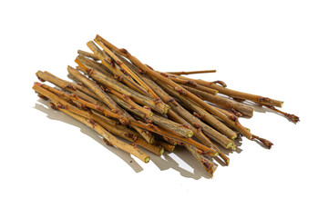 cut currant twigs close-up on a white background