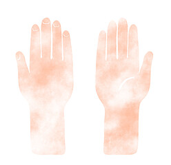 Obraz premium 手のひらと手の甲