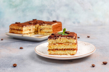 Tasty homemade tiramisu cake.