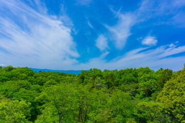 Fototapeta na wymiar 新緑と青空　六道山公園　展望台からの風景