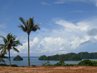 Scenic view of the Rock Islands with coconut trees from Airai State, Palau.