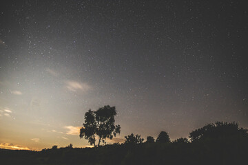 Obraz na płótnie Canvas New Forest, Night Sky, Hampshire, UK