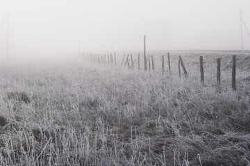 A fence made of logs stretching into the misty distance.