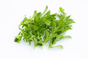 Stevia leaves on white background