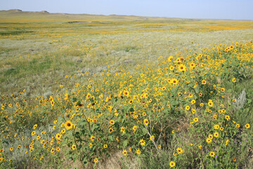 Idyllic landscape in western Nebraska, USA