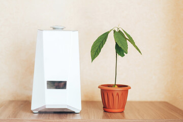 Humidifier is in working order, next to the house plant. Humidification, ionization and air purification. Health care. Disease prevention