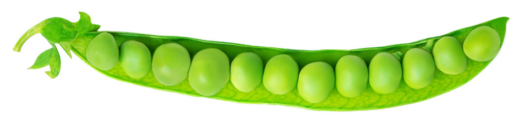 Green beans isolated on a white background. Fresh pea pods. Top view. Flat lay