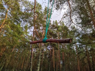 homemade bungee in the forest against the background of trees