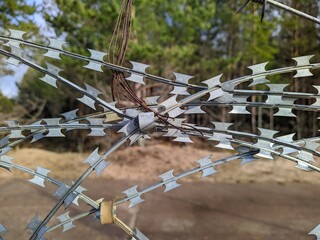 barbed wire close up on forest background at daytime