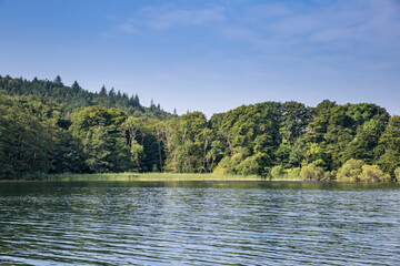 Obraz premium Lake in Front of Meadow and Forest, Schleswig-Holstein, Germany, Europe