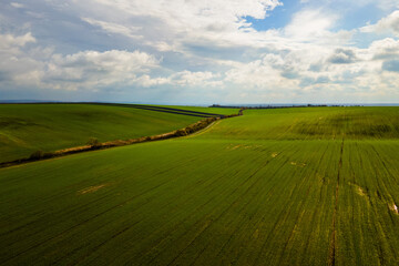 Aerial view of bright green agricultural field in early spring.