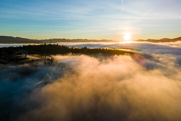 View from above of dark moody pine trees in spruce foggy forest with bright sunrise rays shining through branches in autumn mountains.