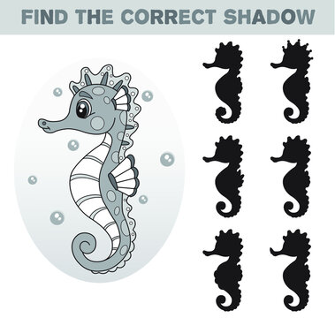 Cartoon illustration of seahorse. Find the correct shadow. Black and white cartoon vector illustration. Educational game for children.
