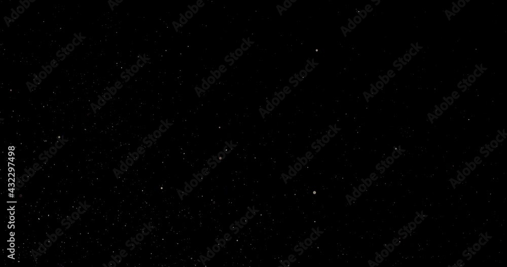 Wall mural natural organic dust particles floating on black background. dynamic dust particles randomly float i