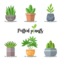 Collection of Colorful Potted plants in flat design