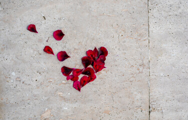 red flower petals scattered on a light background outside..