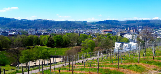 Blick auf Trier mit Amphitheater (links), Kurfürstliches Palais (hinten mitte) und Dom Trier...