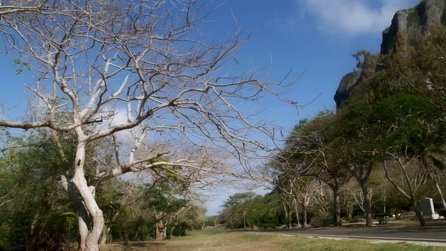 Street view at the Last Command Post, a World War 11 historical attraction on Saipan, Northern Mariana Islands.