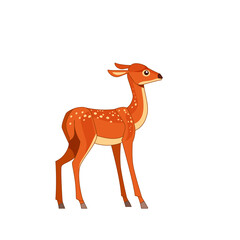 Roe deer isolated on white background. Side view. Cartoon vector flat style illustration