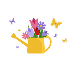 Watering can with flowers isolated on white. Butterflies flying near watering can with tulips and chamomile 