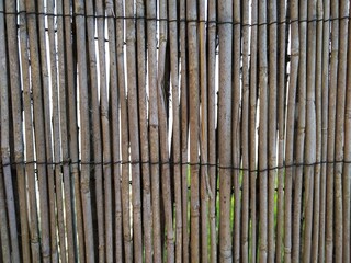 Fototapeta premium bambus, con textura, madera, muro, dechado, alambrada, café, nativo, abstracta, naturaleza, textura, material, estera, árbol, batuta, asia, baston, close-up, amarilla, fondo, fábrica, designio, ebro