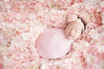 Newborn baby have a sweet dream with smile wearing a pink headband and swaddling with pink wrap sleeping on many pink hydrangeas like a flower field. Shot on top and the background gradually blurred.