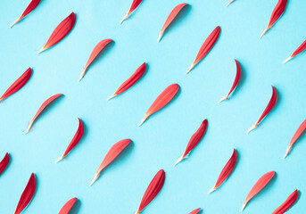 red petals on a light blue background.pattern idea style