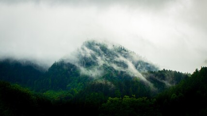 Misty Mountaintop