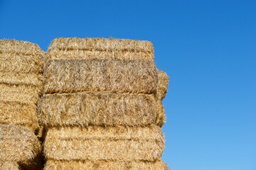 Straw bales view