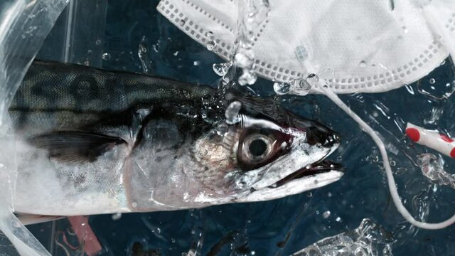 Super slow motion. Falling sea fish filled its mouth with plastic garbage. Plastic waste environmental pollution problem.