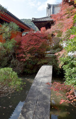 秋の毘沙門堂　紅葉の庭園　京都市山科区