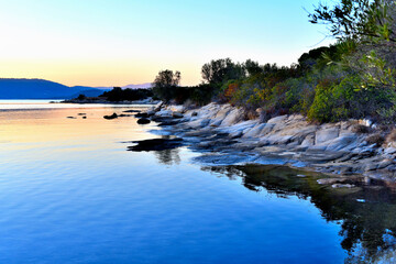 dreamlife seawater