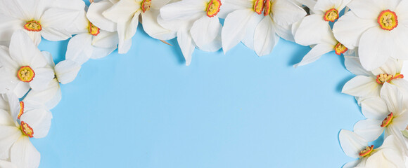A beautiful floral frame of daffodils on a blue background with place for text in the middle. For greeting cards for holidays or sale in stores summer and spring discounts
