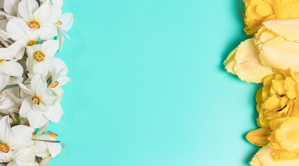 A beautiful floral frame of daffodils and tulips on a green background with place for text. For greeting cards for holidays or sale in stores summer and spring discounts
